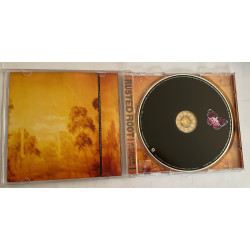 Rusted Root - Welcome tomy Party CD